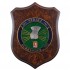 CREST MARINA MILITARE - STRALI SURRENDER... NO